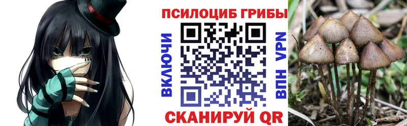 Галлюциногенные грибы MAGIC MUSHROOMS  Кизляр 