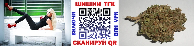где можно купить   Кизляр  Марихуана THC 21% 